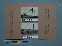 台灣日俘在農園工作藏品圖，第3張